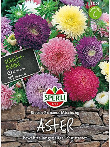 Sommeraster Riesen- Prinzess Mischung