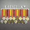 Karate - Medagliere da Parete - Porta medaglie Arti Marziali, Karategi - Sport Medal Hanger - Display Rack (750 mm x 115 mm x 3 mm)