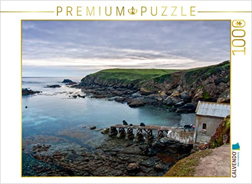 CALVENDO Puzzle Lizard Point | 1000 Teile Lege-Größe 64 x 48 cm Foto-Puzzle für glückliche Stunden