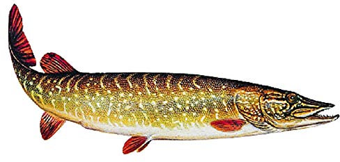 Jenzi Aufkleber, Hecht, klein, Größe/Type: Klein/Hecht