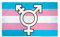 AZ FLAG - Flagge Transgender Mit Symbol - 150x90 cm - Intersexuelle Fahne 100% Polyester mit Messing-Ösen - 110g