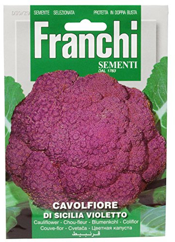 SEMENTI DI ORTAGGI DI QUALITA' PER USO HOBBYSTICO IN BUSTINA TERMOSALDATA (CAVOLFIORE DI SICILIA VIOLETTO)
