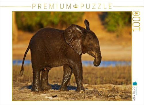 CALVENDO Puzzle Junger Elefant in Botswana | 1000 Teile Lege-Größe 64 x 48 cm Foto-Puzzle für glückliche Stunden