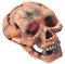 Europet Bernina 236-104309 Decor-'Totenkopf' 15 cm