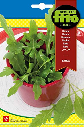 Semillas Fitó 8073 - Semillas de Rúcula Sativa