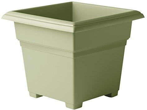 Novelty 26140, Sage, Countryside Square Tub Planter, 14-Inch