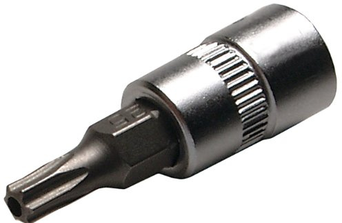 SW-Stahl S2118 T40 Schraubendreheinsatz - 1/4 Zoll Bit-Steckschlüssel | TR-Profil mit Stirnlochbohrung - 38 mm Länge - Robuster Chrom-Vanadium-Stahl - Matt verchromt - Premium Qualität für Profis