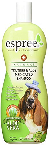 Espree Natürlicher Teebaum und Aloe Shampoo 591ml