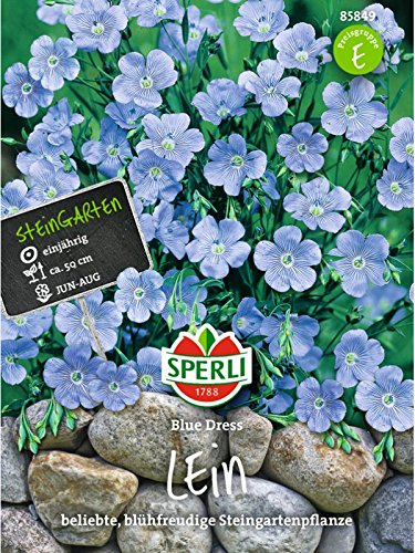 Staudenlein Blue Dress