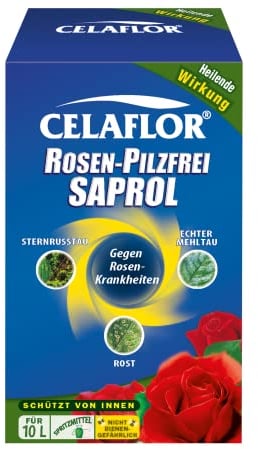 Celaflor Rosen-Pilzfrei Saprol, gegen Pilzkrankheiten an Rosen, wie Echten Mehltau, Sternrußtau und Rost, 100 ml
