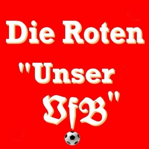 Unser VfB (Radio Edit)
