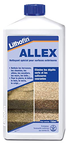 Lithofin ALLEX GRÜNBELAG-ENTFERNER 1L Gebinde Spar- Set (9)