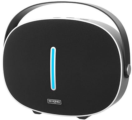 W-KING Haut-Parleur Bluetooth sans Fil T8 30W - Noir