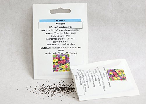Elfenspiegel Karneval Blumensamen Saat für ca. 300 Pflanzen leuchtende Farben Blumenmischung