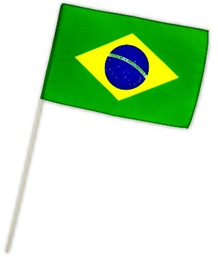 Fahne Flagge Brasilien 30 x 45 cm mit Stab