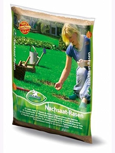 Rasenmischung Nachsaat Pegasus 500gr