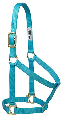 Weaver Leather 35–7404-TU Einfacher unverstellbarer Halfter, 25 mm für kleine Pferde, Türkis, 35-7405-TU, türkis, Average Horse