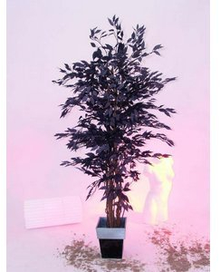 AUSLAUF - Ficus-Benjamini Kunstbaum, mit Multi Stamm Natur, Schwarze 1548 Blätter, Höhe 180cm - künstlicher Ficus Baum
