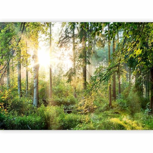 murando - Fototapete Vlies Wald, 100x70 cm, Schlafzimmer, Wohnzimmer | Full HD Druck, 3D-Effekt, lichtbeständige Farben, ideal fürs Wohn- oder Schlafzimmer, schnelle Montage, lichtbeständig, edel