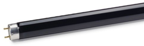 Philips Lighting Leuchtstofflampe 6W Schwarzlicht bl TL Mini 6W/08