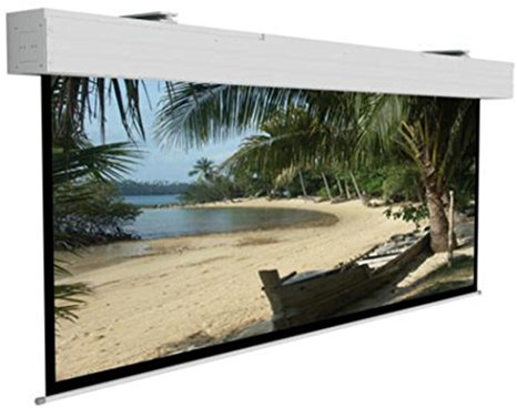 Motor Leinwand WS P Elpro Large 1:1 B:450xH:450cm