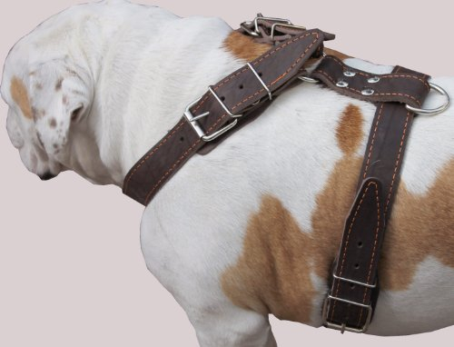 Braun Echtleder Hundegeschirr, große. 88,9 cm-40 Brust, 3,8 cm Breite Träger Mastiff Deutsche Dogge
