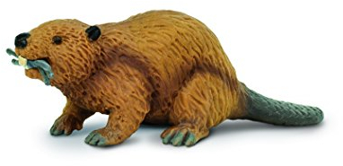 Safari S283629 Miniatur: Nordamerikanischer, wild lebender Biber aus der Reihe Wild