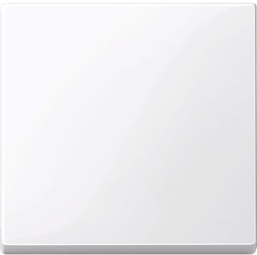 Schneider Electric mtn432125 Taste Einfach, Weiß Aktiv