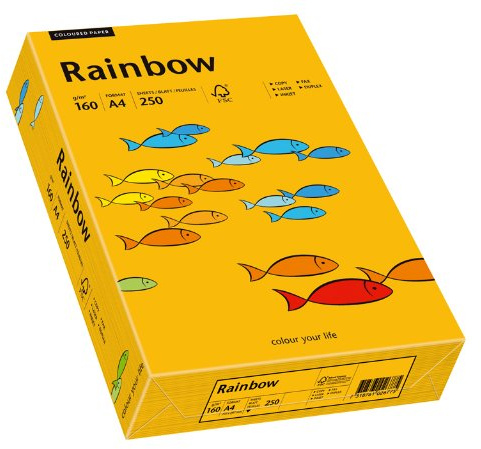 Papyrus 88042417 Drucker-/Kopierpapier farbig: Rainbow 160 g/m² DIN-A4, 250 Blatt Buntpapier, mittelorange.