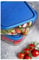 BORGONOVO - Hermetico Rectang.Igloo 23,5Cm Borgonovo 2300 Ml