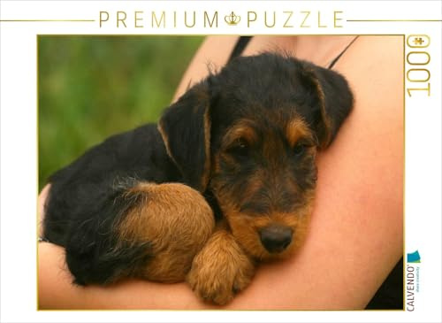 CALVENDO Puzzle EIN Motiv aus dem Kalender Airedale Terrier Welpen | 1000 Teile Lege-Größe 64 x 48 cm Foto-Puzzle für glückliche Stunden