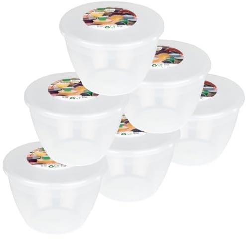 Just Pudding Basins 1 Pint 570ml Medium Basin and Lid Clear Food Safe Plastic Bowls and Lids 6 Pack