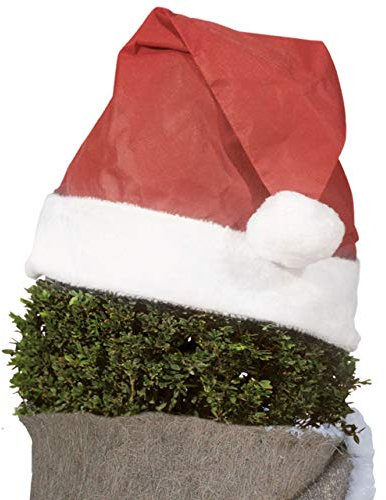 Videx-Pflanzen-Weihnachtsmütze, rot