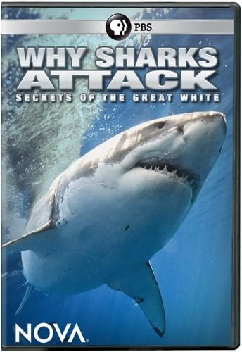 Nova: Why Sharks Attack