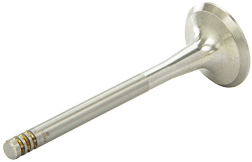 AE V94113 Auslaßventil