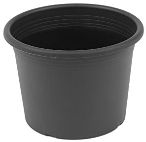 Megaplastic Pflanzkübel Cylinder (70 cm, Anthrazit)