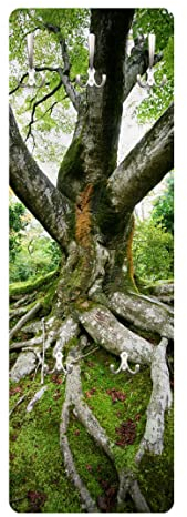 Bilderwelten Garderobe - Alter Baum - Grün, Größe HxB:105cm x 34cm