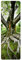 Bilderwelten Garderobe - Alter Baum - Grün, Größe HxB:105cm x 34cm