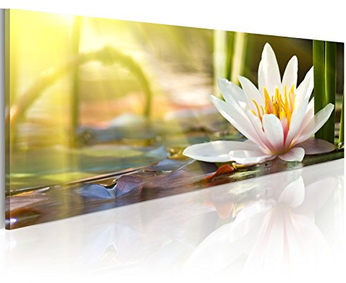 murando Acrylglasbild Blumen 120x40 cm 1 Teilig Wandbild auf Acryl Glasbilder Kunstdruck Moderne Acrylglas Platte Wanddekoration Geschenke Heimdekoration Glasbild - Wasserlilie Natur b-B-0121-k-c