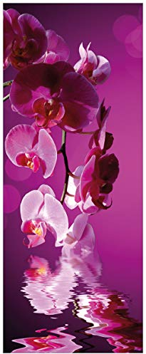 Wallario Glasbild Rosafarbene Orchidee Blüten in pink - 32 x 80 cm Wandbilder Glas in Premium-Qualität: Brillante Farben, freischwebende Optik