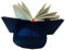 Support pour livres pour lire au lit - Coussin de lecture Belenci (bleu)