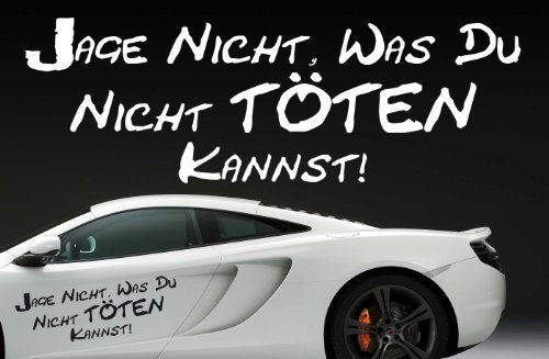 (84x28cm) kupfer-metallic (gespiegelt) - Z178 'Jage nicht, was Du nicht töten kannst!' - Autoaufkleber Spruch lustig Heckscheibe Motorhaube Autofolie
