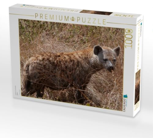 CALVENDO Puzzle Hyäne | 1000 Teile Lege-Größe 64 x 48 cm Foto-Puzzle für glückliche Stunden