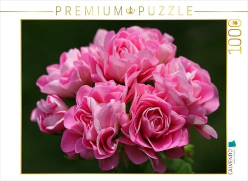 CALVENDO Puzzle Pelargonium Träume | 1000 Teile Lege-Größe 64 x 48 cm Foto-Puzzle für glückliche Stunden