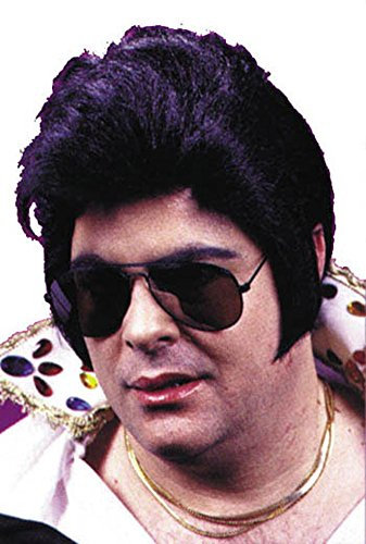 Funworld Rock N Roll Stars Costume Wig