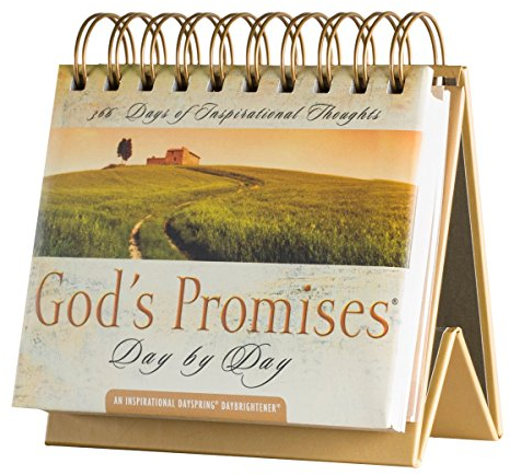 DaySpring 7872 Ewiger Kalender God's Promises Day by Day: 365 Days of Inspriational Thoughts – An Inspirational DayBrightener
