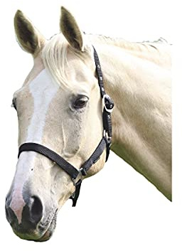 Shires Wessex Pony/Horse Headcollar Full Black