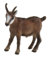 Bullyland 64450 - Spielfigur Gams, ca. 8,4 cm große Tierfigur, detailgetreu, PVC-frei, ideal als kleines Geschenk für Kinder ab 3 Jahren
