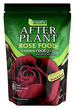 Empathy After Feeding Rose Plant with Rootgrow 1 kg