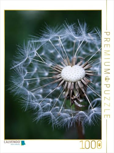 CALVENDO Puzzle Pusteblume | 1000 Teile Lege-Größe 48 x 64 cm Foto-Puzzle für glückliche Stunden